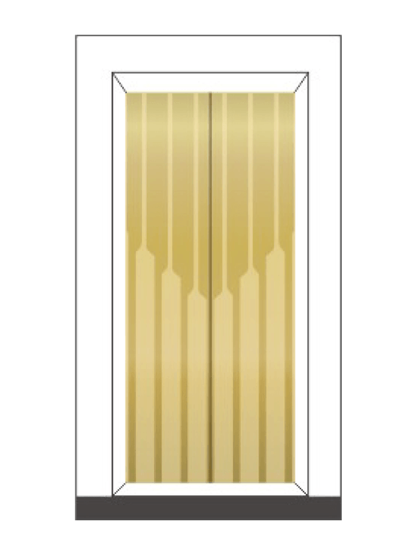 Aurea Luxuria Elevator Cameram Interior